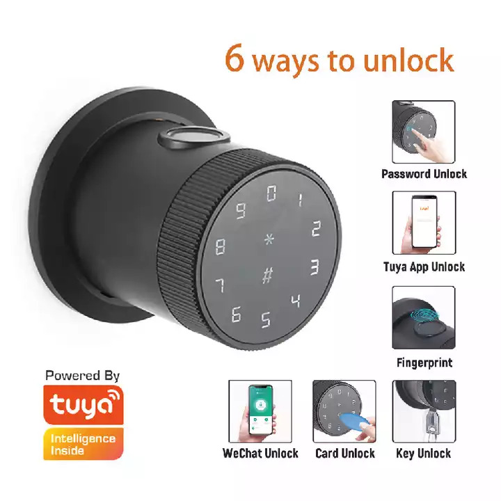 Tuya Smart Round Lock 5 Unlock Methods